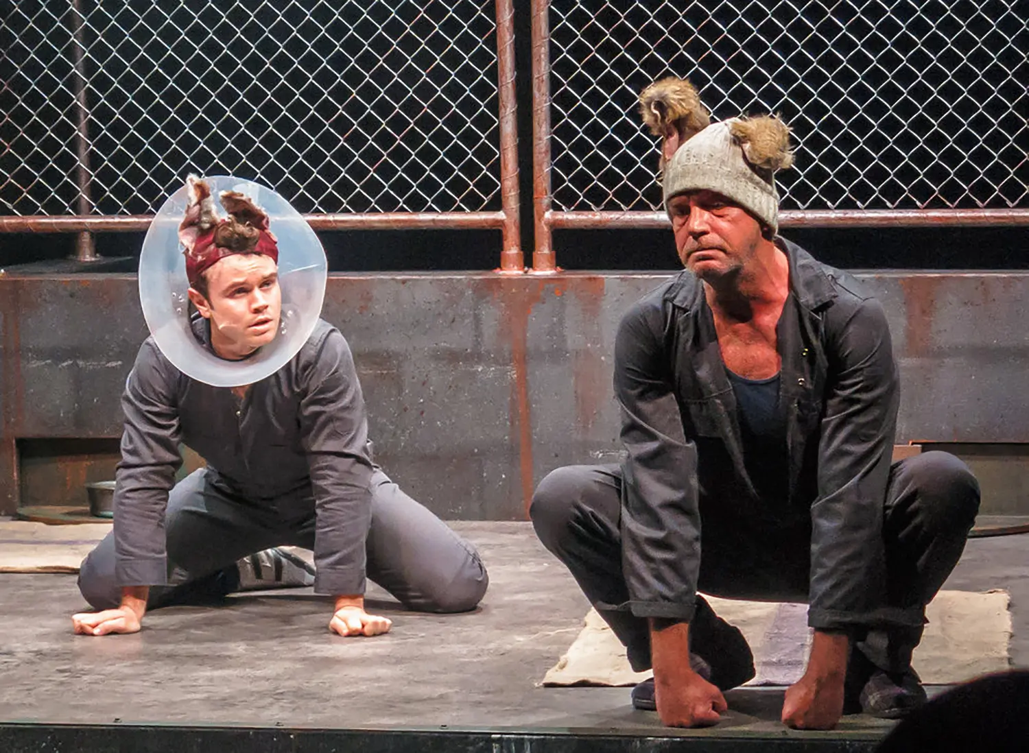 A theatre set: two men dressed as dogs inside a concrete fenced enclosure